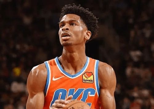 他们能提供 他们能提供