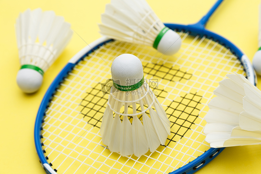 窗口频频签 窗口频频签